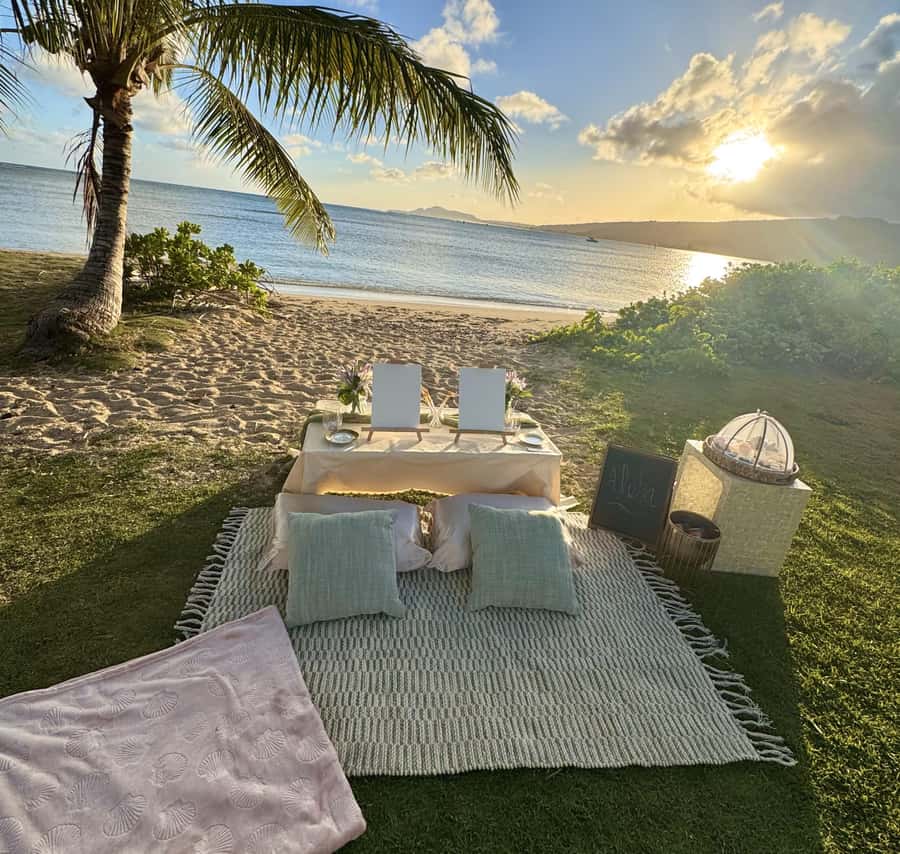 Honolulu: Beachside Luxury Picnic & Paint - The picnic setup: charcuterie, chilled drinks, and cozy beach comfort