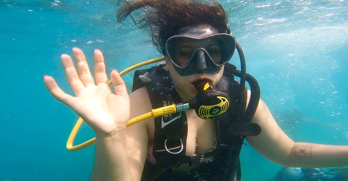 Honolulu: Beginner Scuba Diving Tour With Free Videos - What You’ll See: Fish, Crabs, and the Chance of an Octopus