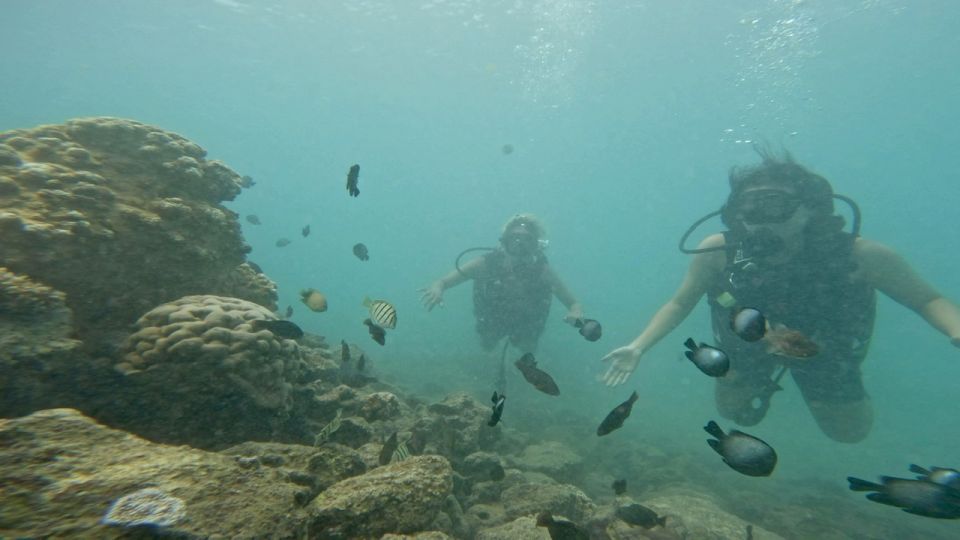 Honolulu: Beginner Scuba Diving Tour With Free Videos - Instructor Style and Small-Group Attention (Up to 4)