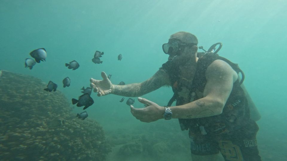 Honolulu: Beginner Scuba Diving Tour With Free Videos - Gear, Videos, and the Value of the $89 Ticket