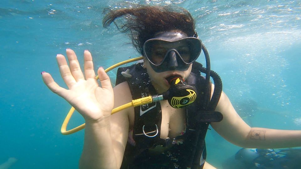 Honolulu: Beginner Scuba Diving Tour With Free Videos - Who This Tour Suits (and Who Should Skip It)