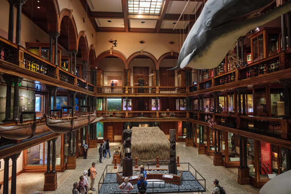 Honolulu: Bishop Museum General Admission Ticket - Key things that make Bishop Museum worth your time
