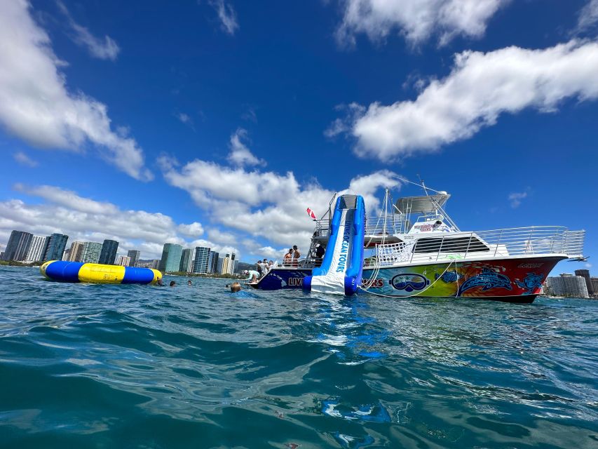 Honolulu: Deluxe Waikiki Snorkel and Wildlife Cruise - Key Highlights You’ll Care About