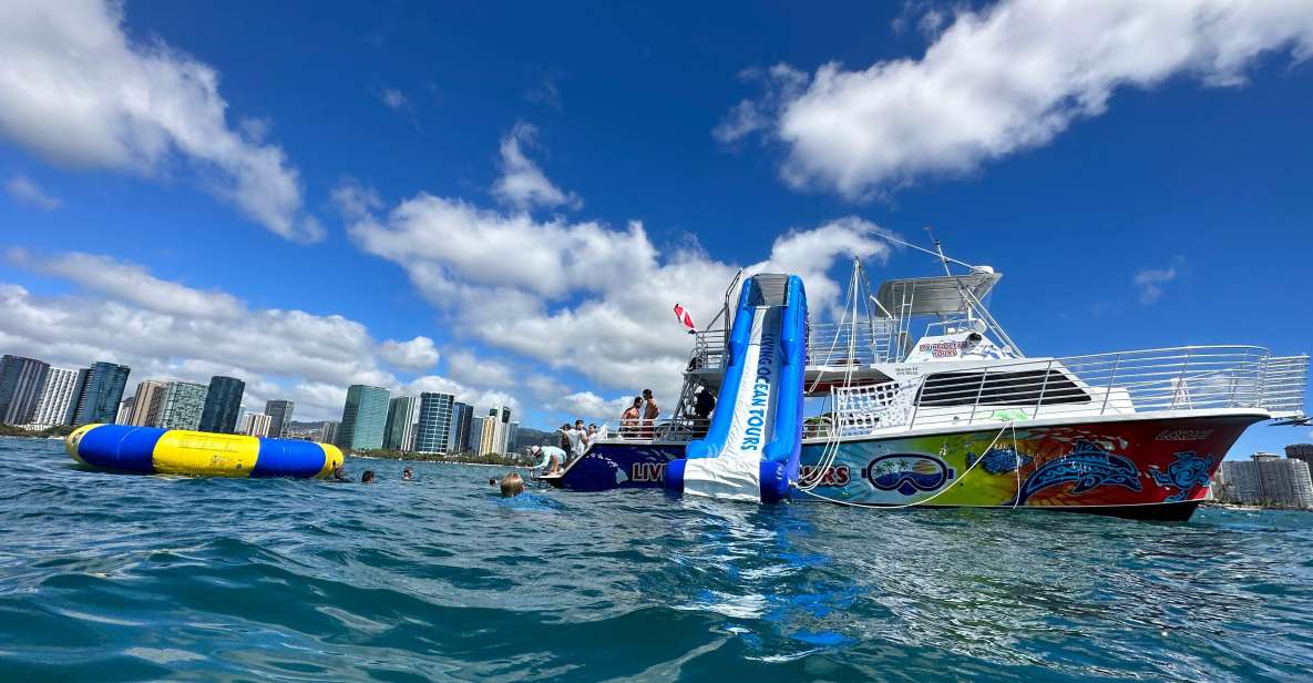 Honolulu: Deluxe Waikiki Snorkel and Wildlife Cruise - Wildlife Cruise Toward Diamond Head: What You’re Watching For