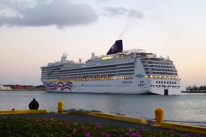 Honolulu Harbor Cruise Terminal Transfer by Luxury Vehicle - Waikiki hotel pickup: the part that saves your trip
