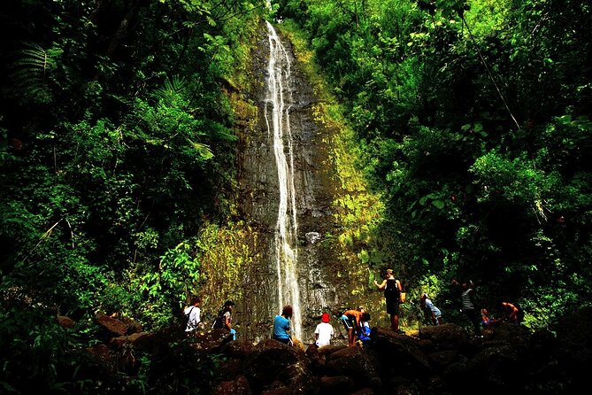 Honolulu Rainforest Self-Guided Audio Tour - Manoa Falls: 150 feet of waterfall and real rainforest walking