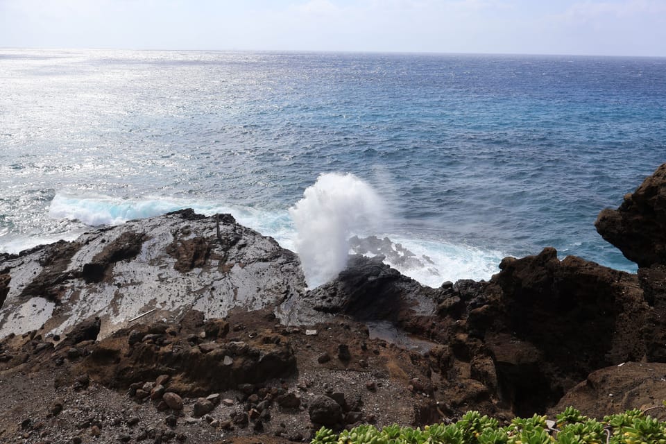 Honolulu: Stunning Views of Oahu! Half-day Scenic Tour - The guide experience: warm, informative, and multilingual