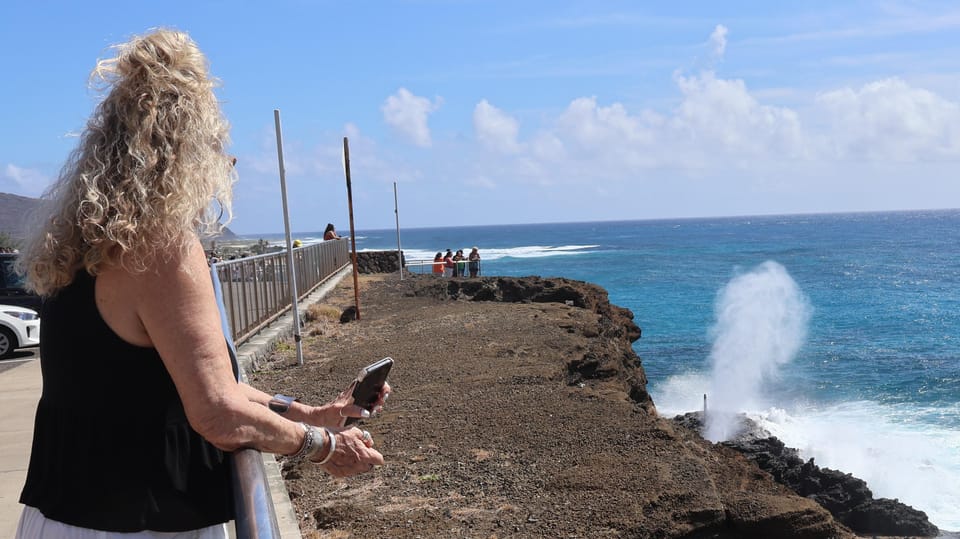 Honolulu: Stunning Views of Oahu! Half-day Scenic Tour - Booking smart: how to choose your start time