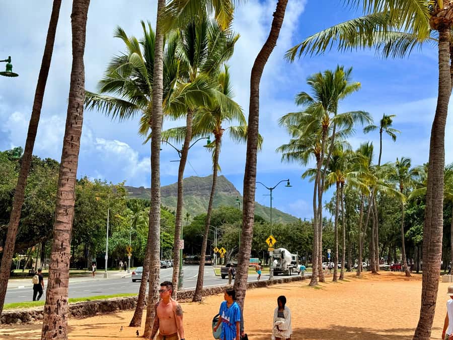 Honolulu: Waikiki Food Tour with Local Guide - Hawaiian BBQ Comfort Food: Where the Day Gets Warm