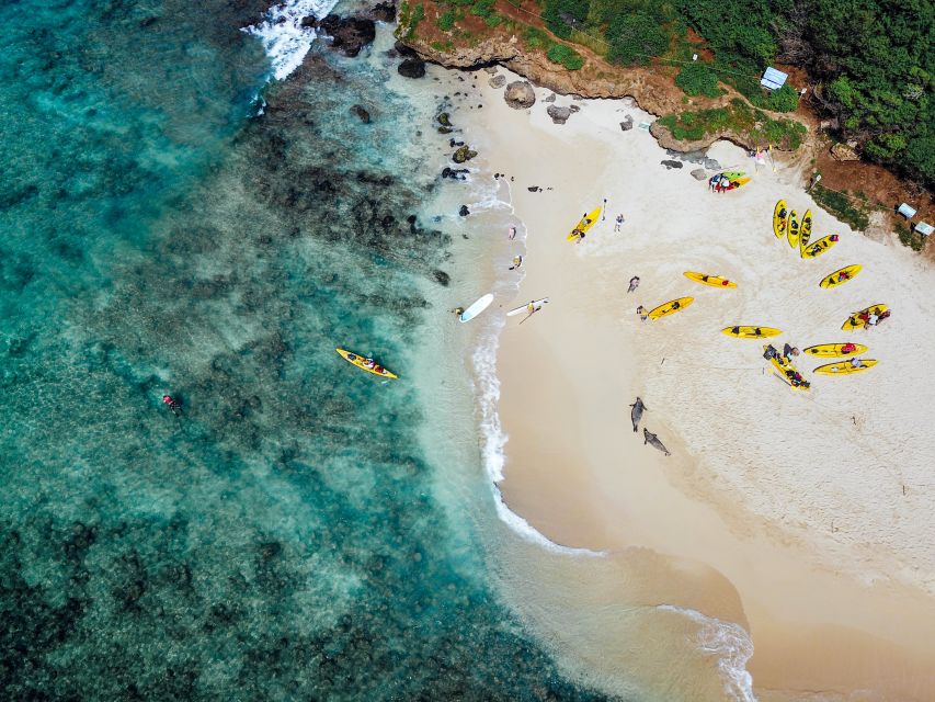 Kailua: Mokulua Islands Guided Kayak and Snorkeling Tour - Lunch on the islet and the ocean-debris stewardship moment