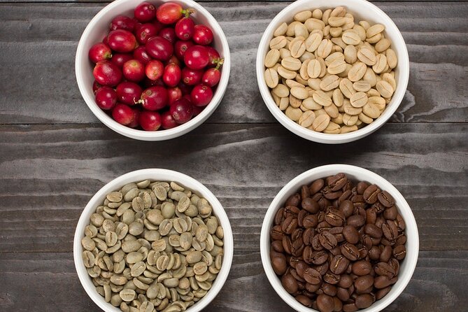 Kona Coffee Tasting: A Farm to Cup Experience - Farm to cup Kona coffee on Oahu: what you actually get