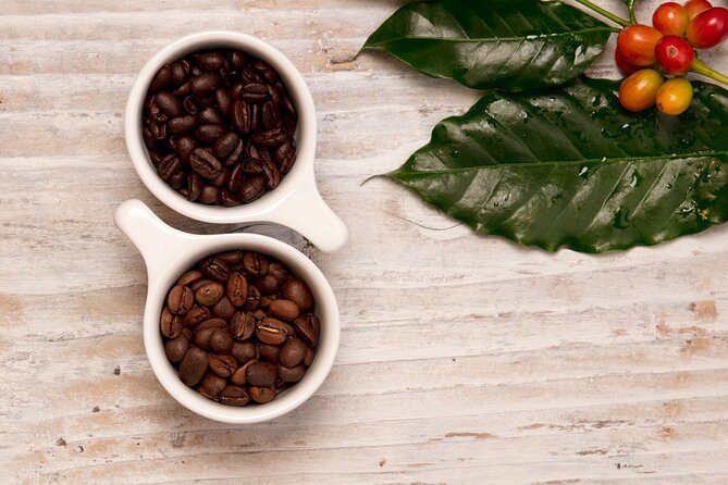 Kona Coffee Tasting: A Farm to Cup Experience - Price and value: $10 for three Kona coffees and real instruction