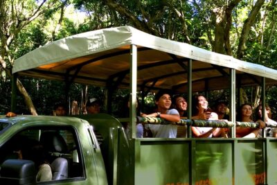 Kualoa Ranch: Jungle Expedition Tour - Stop-by-stop: what you’ll do at Kualoa and why it matters