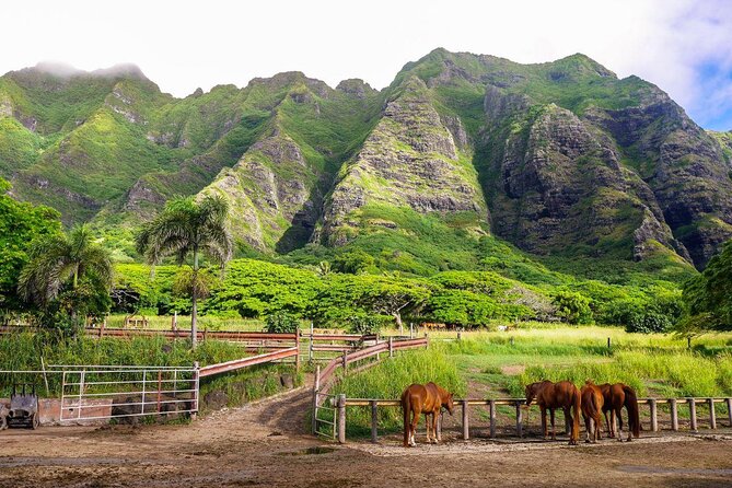Kualoa Ranch - Kualoa Grown Tour - Entering Kualoa Grown Tour: a compact ranch loop with time left for Oahu