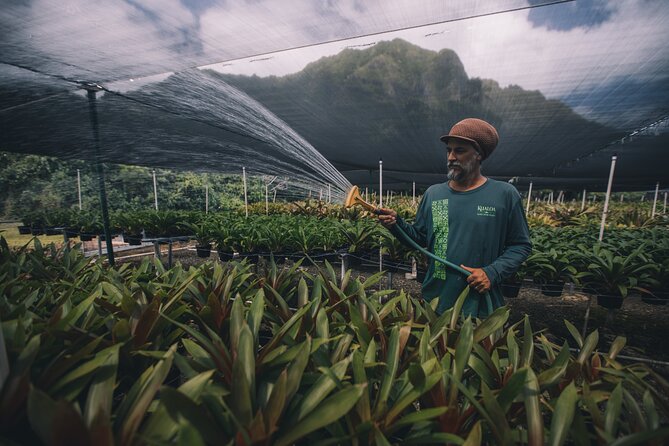 Kualoa Ranch - Kualoa Grown Tour - What’s included in the ticket (and what’s not)