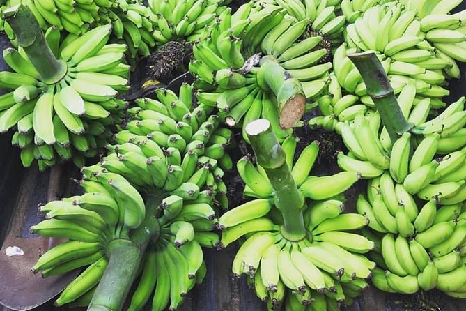 Kualoa Ranch - Kualoa Grown Tour - Timing, weather, and how to plan your day on Oahu