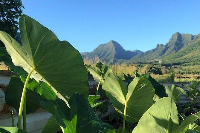 Kualoa Ranch - Kualoa Grown Tour - Group comfort details that matter once you’re on-site
