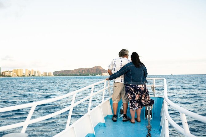 Late Breakfast Cruise in Honolulu - Wildlife viewing: how to think about whales, dolphins, and turtles