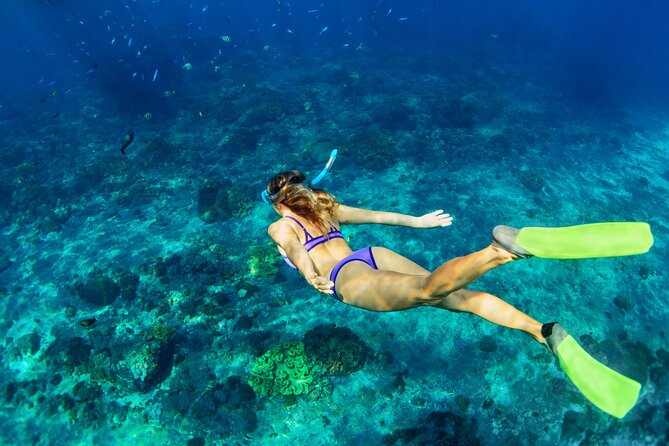 Luxury Diamond Head Sunset Sail - Key highlights worth knowing