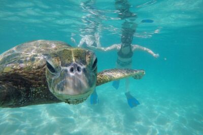 Mahina Hawaii Full Day Adventure - How Custom Routing Really Helps (Not Just a Marketing Line)