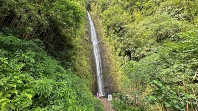 Manoa Falls eBike to Hike - Meeting at Kūhiō Beach: where to go and what to bring