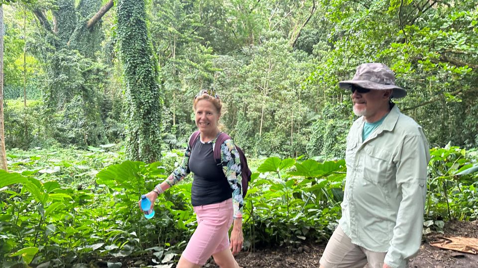 Manoa Falls eBike to Hike - Rainforest vibes: microclimates, animals, and ancient Hawaiian context
