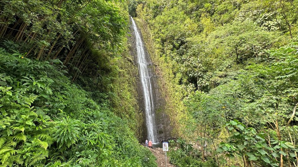 Manoa Falls eBike to Hike - Meeting at Kūhiō Beach: where to go and what to bring
