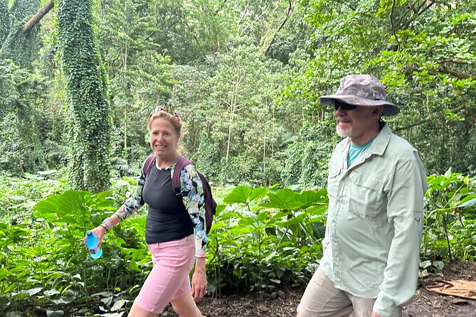 Manoa Falls-Electric Bike to Hike Experience Local meal included - At the 150-foot waterfall: big views, real safety reminders