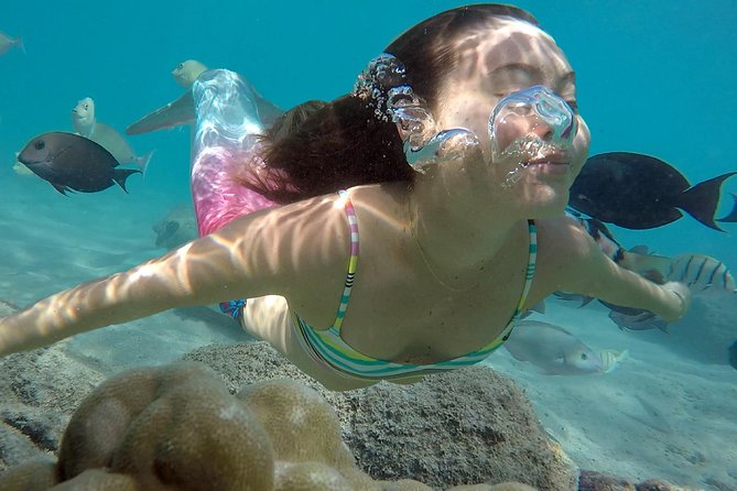 Mermaid Video shoot and Snorkel Adventure - Quick hit highlights