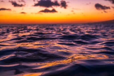 Moana’s Luxury semi-private Sunset Cruise on Nalu - Meeting at Kewalo Basin: Timing, Arrival, and Getting Set Up