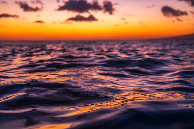 Moana’s Luxury semi-private Sunset Cruise on Nalu - Meeting at Kewalo Basin: Timing, Arrival, and Getting Set Up