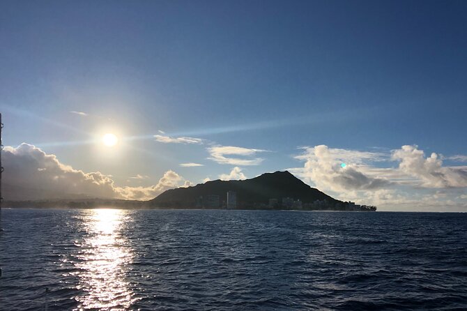 Moana’s VIP Waikiki Turtle Snorkeling Experience on Nalu - Meeting at Kewalo Basin: timing, getting there, and what to bring