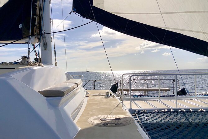 Moana’s VIP Waikiki Turtle Snorkeling Experience on Nalu - Turtle Canyon sightings: how the crew’s safety setup supports wildlife time