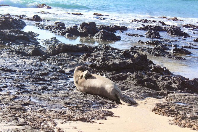 Mokulua Islands Self-Guided Kayak Adventure - The Queens Bath Swim: What It Is and When It’s Worth It