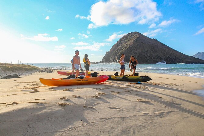 Mokulua Islands Self-Guided Kayak Adventure - Wildlife Odds: Monk Seals, Sea Turtles, and Flying Fish