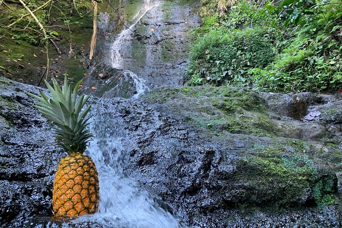 Nature Hike to Waterfall - Why this tour feels more “real” than a rushed photo loop