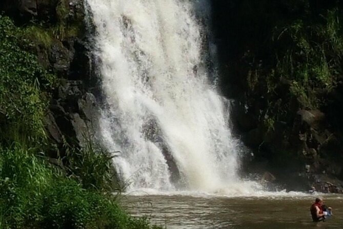 North Shore day,Waterfalls and Turtles Tour - Haleiwa lunch stop: a real North Shore reset
