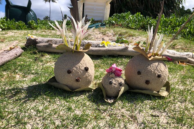 North Shore day,Waterfalls and Turtles Tour - Afternoon beach time: swimming and searching for turtles