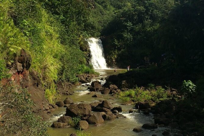 North Shore day,Waterfalls and Turtles Tour - What the guide adds: culture, plants, and a calm pace