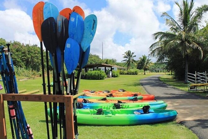 North Shore Farm: Anahulu River, Kayak-Sup, Turtles, Lunch & More - Self-Guided Farm Time: Animals, Turtle Watching, and Kid Games
