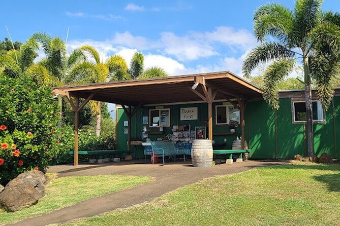 North Shore Farm: Anahulu River, Kayak-Sup, Turtles, Lunch & More - What I’d Prioritize if You’re Booking This