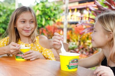 North Shore Haleiwa & Dole Plantation Tour - Dole Plantation: The Pineapple Express, Garden Tour, and Maze Time Math