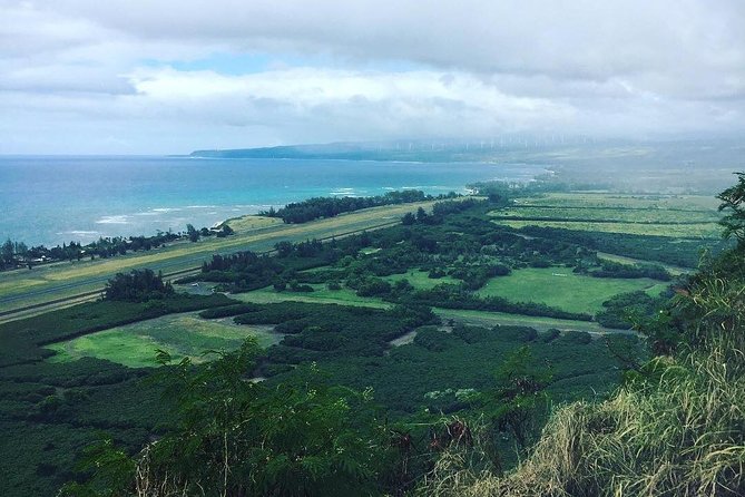 North Shore Tour Guide Hike - Key things to know before you go