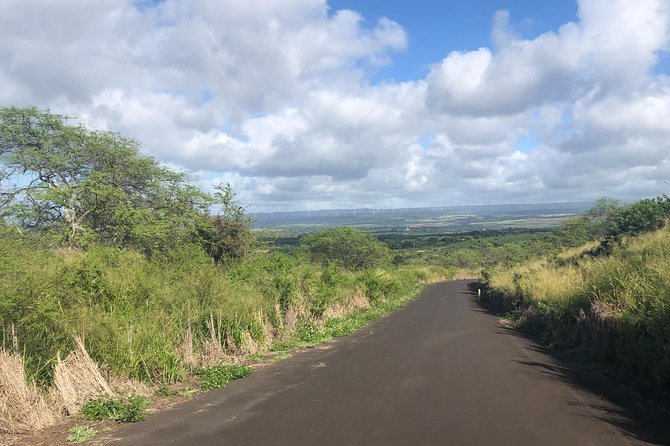 North Shore Tour Guide Hike - Price and value: is $76.93 worth it?