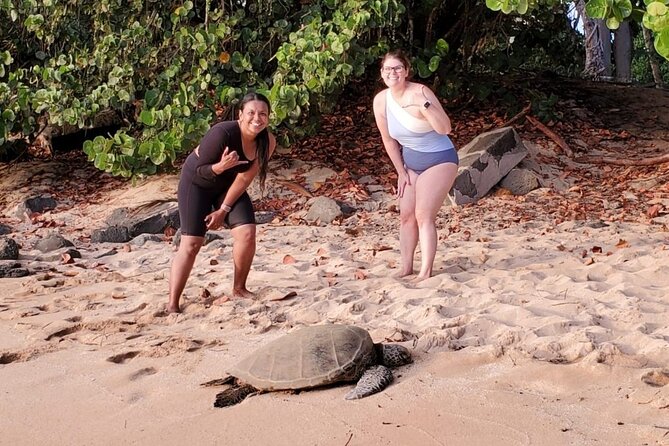 Northshore ocean adventure and circle islandJeep Tour- Guaranteed to see turtles - Makapuʻu Point and Nūʻuanu Pali: the lookouts that make the drive worth it