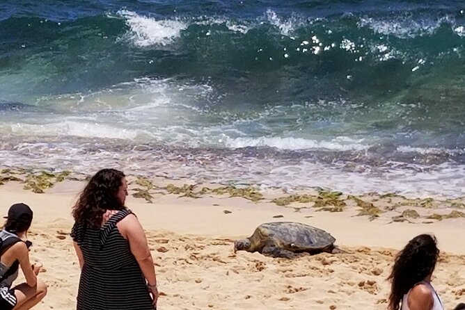 Northshore,Kailua,or Honolulu's Private Grand Circle Island Tour - How the Private Grand Circle Tour Fits a Real Oahu Day