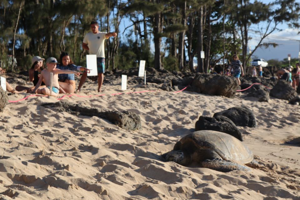 Oahu: Active Circle Island Tour - Key points before you go