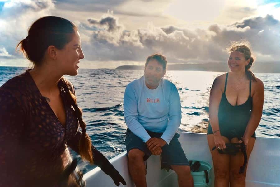 Oahu: Cageless Shark Dive Adventure - Price and what $121 really buys you