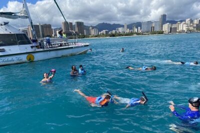 Oahu Catamaran Snorkel Tour: See Turtles 100% Guaranteed - The 100% Turtle Guarantee: What You Should Expect