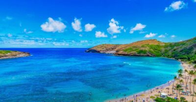 Oahu: Circle Island Top Sights Full-Day Tour w/ Local Guide - Pickup, Comfort, and the Value of Not Driving